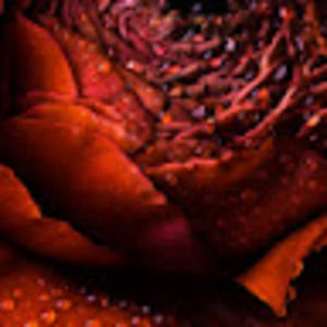 Meet your Posher, Enola